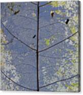 Leaf Structure Canvas Print