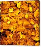 Leaves Of Sepia Canvas Print