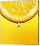 Lemon Drop Canvas Print