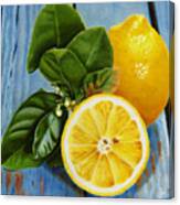 Lemon Fresh Canvas Print