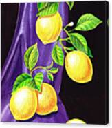 Lemons Of Sorrento Canvas Print