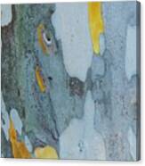 Leopard Tree Bark Abstract No 1 Canvas Print
