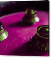 Guitar Controls Series Pink And Green Canvas Print