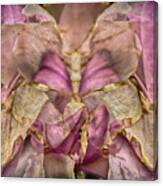 Lether Butterfly Or Not Canvas Print