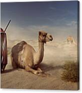 Life Of The Desert Canvas Print