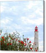 Lighthouse On Culatra Canvas Print