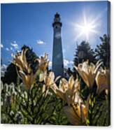 Lighthouse With A Flowery Foreground Canvas Print
