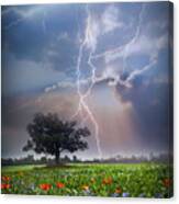 Lightning At Sunset After The Rain Canvas Print
