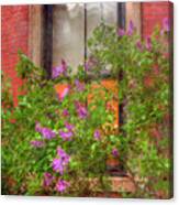 Lilacs And Old Windows Canvas Print