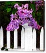 Lilacs - Mother's Day 1 Canvas Print