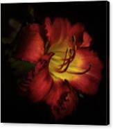 Lily In Red Canvas Print