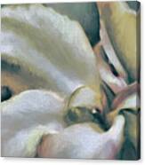 Lily In The Garden Coastal Canvas Print