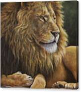Lion Around Canvas Print