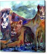 Lion's Play Canvas Print