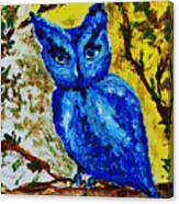 Little Blue Owl Canvas Print