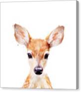 Little Deer Canvas Print