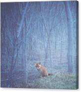 Little Fox In The Woods Canvas Print
