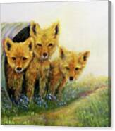 Little Foxes Canvas Print