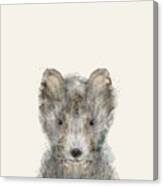 Little Grey Wolf Canvas Print