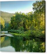 Little North Fork Sun Canvas Print