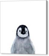 Little Penguin Canvas Print