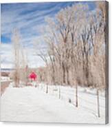 Little Red Barn Canvas Print