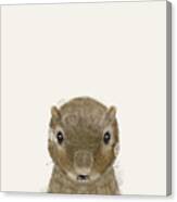 Little Squirrel Canvas Print