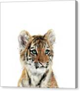 Little Tiger Canvas Print