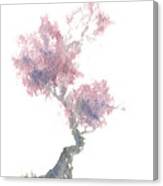 Little Zen Tree 1981 Canvas Print