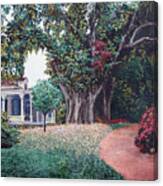 Live Oak Gardens Jefferson Island La Canvas Print
