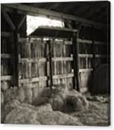 Livestock Barn In Kentucky Canvas Print