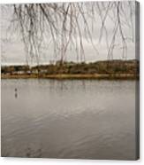 Loch In Linlithgow. Canvas Print