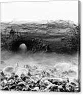 Log In Slow Tide Black And White Canvas Print