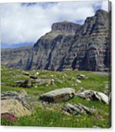 Logan Pass Meadow And Mountains In Glacier National Park Canvas Print
