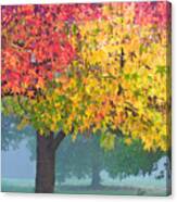 London Autumn Canvas Print