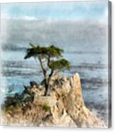 Lone Cypress Watercolor Canvas Print