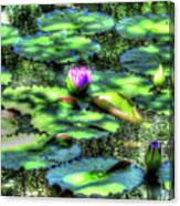 Lone Lily Canvas Print