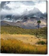 Lone Pine High Desert Nevada Canvas Print