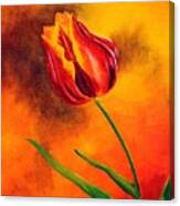 Lone Red Tulip Canvas Print