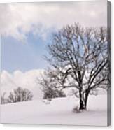 Lone Tree In Snow Canvas Print