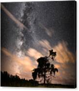 Lone Tree, Milky Way, Late Summer Canvas Print