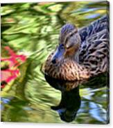 Lonely Duckie Canvas Print