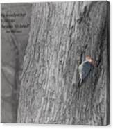 Lonely Woodpecker Canvas Print