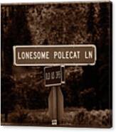 Lonesome Polecat Lane Canvas Print