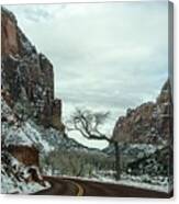 Lonesome Snowy Winter In Zion Canvas Print