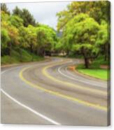 Long And Winding Road Canvas Print