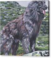 Long Hair Dutch Shepherd Canvas Print