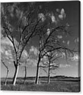 Long Since Black And White Canvas Print