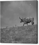 Longhorn Bull Grunge Canvas Print
