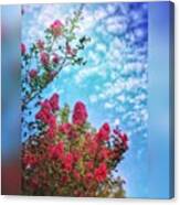 Look Up.. #garden #beautifulsky Canvas Print